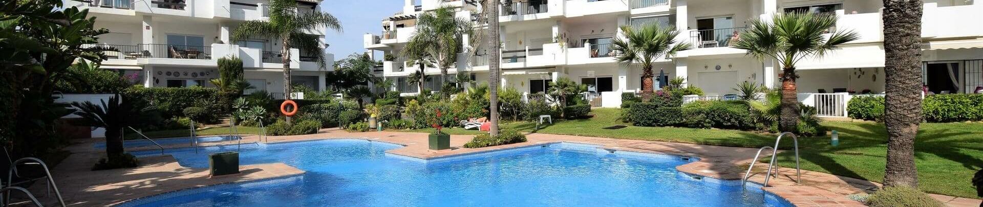 Poolside palm trees